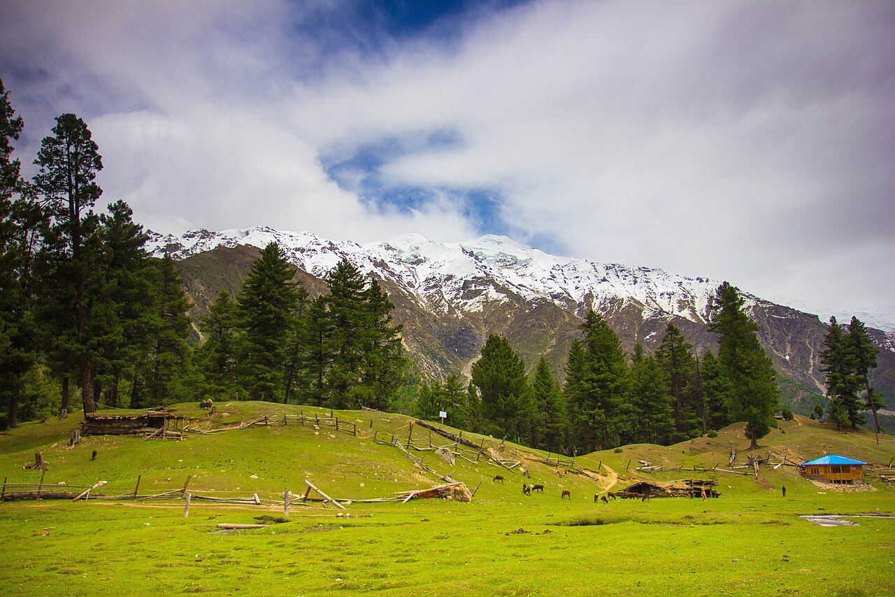 Photograph of Fairy Meadows Pakistan, Pakistan